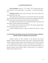 Vokietijos ekonominė situacija 13 puslapis