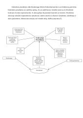 Vokietijos valstybės politinė sistema 6 puslapis
