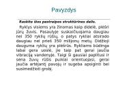 Mokomės kurti samprotavimo pastraipą 7 puslapis