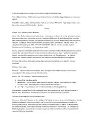 ATR konspektas 2 puslapis