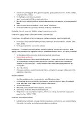 Pramonės perversmas konspektas 2 puslapis