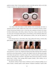 Vonios kambario įranga ir santechnika 19 puslapis