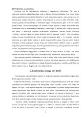 Vonios kambario įranga ir santechnika 7 puslapis