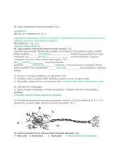 Homeostazė, šalinimas, nervų sistema, liaukos 19 puslapis