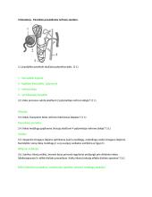 Homeostazė, šalinimas, nervų sistema, liaukos 3 puslapis
