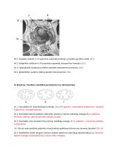 Ląstelės cheminė sudėtis, organelės, medžiagų pernaša, fotosintezė, ląstelinis kvėpavimas  12 puslapis