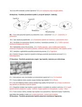 Ląstelės cheminė sudėtis, organelės, medžiagų pernaša, fotosintezė, ląstelinis kvėpavimas  13 puslapis