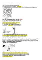 Ląstelės cheminė sudėtis, organelės, medžiagų pernaša, fotosintezė, ląstelinis kvėpavimas  4 puslapis