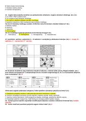 Ląstelės cheminė sudėtis, organelės, medžiagų pernaša, fotosintezė, ląstelinis kvėpavimas  5 puslapis