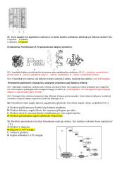 Ląstelės cheminė sudėtis, organelės, medžiagų pernaša, fotosintezė, ląstelinis kvėpavimas  6 puslapis
