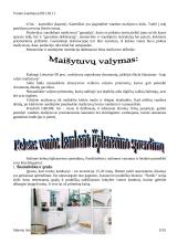 Vonios kambarys 10 puslapis