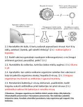 Žmogaus sveikata 2 puslapis
