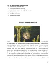 Voragyviai ir plėšriavoriai 5 puslapis