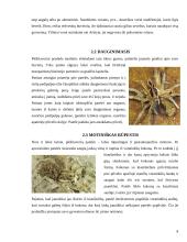 Voragyviai ir plėšriavoriai 8 puslapis