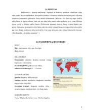 Voragyviai ir plėšriavoriai 9 puslapis