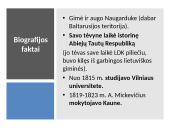 Mickevičius pristatymas 3 puslapis