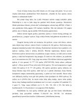 WEB spalvų palečių apžvalga 4 puslapis