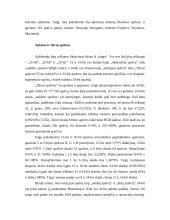 WEB spalvų palečių apžvalga 7 puslapis