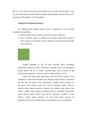 WEB spalvų palečių apžvalga 8 puslapis