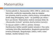 Antanas Baranauskas 1835-1902. Biografija ir kūryba 8 puslapis