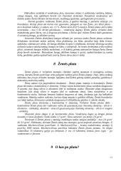 Žemė - visatos erdvė 13 puslapis