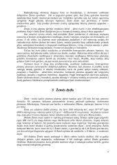 Žemė - visatos erdvė 8 puslapis