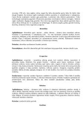 Žemės gelmių turtai arba naudingosios iškasenos 13 puslapis