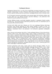 Žemės gelmių turtai arba naudingosios iškasenos 3 puslapis