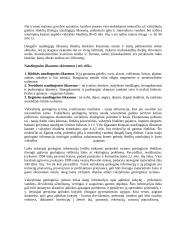 Žemės gelmių turtai arba naudingosios iškasenos 4 puslapis