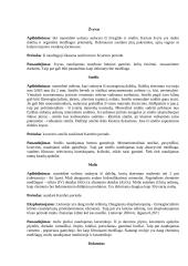 Žemės gelmių turtai arba naudingosios iškasenos 5 puslapis