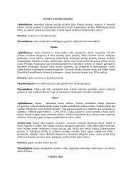 Žemės gelmių turtai arba naudingosios iškasenos 9 puslapis