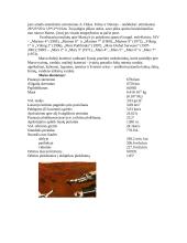 Žemės grupės planetos (Žemė, Merkurijus, Venera, Marsas) 9 puslapis