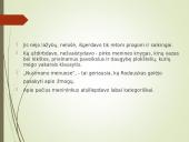 Henrikas Radauskas pristatymas 11 puslapis