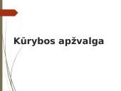 Henrikas Radauskas pristatymas 15 puslapis