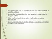 Henrikas Radauskas pristatymas 20 puslapis