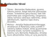 Henrikas Radauskas pristatymas 3 puslapis