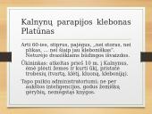 Kunigų paveikslai Putino romane Altorių šešėly 3 puslapis