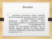 Realizmas pristatymas 6 puslapis