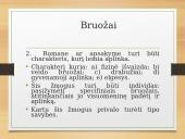 Realizmas pristatymas 7 puslapis