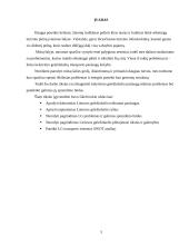 Žemos kokybės keleivinio geležinkelių transporto paslaugų problemos 2 puslapis