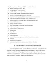 Žemos kokybės keleivinio geležinkelių transporto paslaugų problemos 4 puslapis