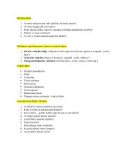 Marius Ivaškevičius temos, problemos 3 puslapis