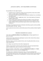 Antanas Škėma ,,Balta drobulė‘‘ 2 puslapis