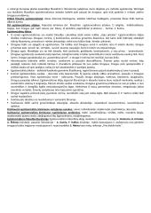 XX a. vidurio katastrofų literatūra testas 2 puslapis