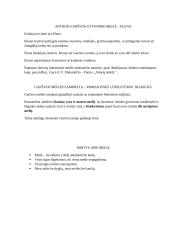 Meilės samprata romane ,,Balta drobulė‘‘ 2 puslapis