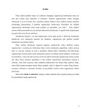 Žinių vadyba kaip procesas 2 puslapis