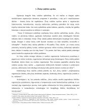 Žinių vadyba kaip procesas 3 puslapis