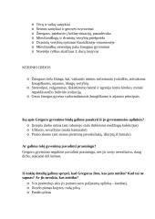 Francas Kafka lietuvių k. konspektas 14 puslapis