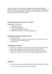 Francas Kafka lietuvių k. konspektas 15 puslapis