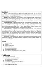 J. Aputis “Erčia, kur gaivus vanduo” novelės analizė 3 puslapis